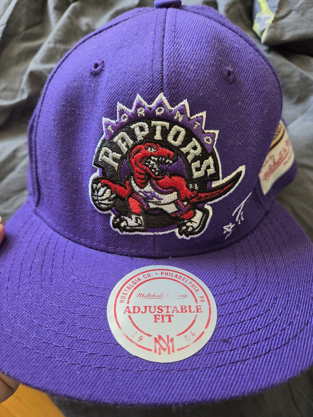 Mitchell & Ness Toronto Raptors Purple Adjustable Cap